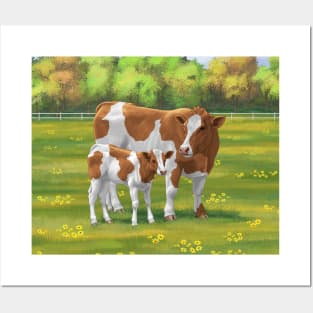 Guernsey Cow and Cute Calf in Summer Pasture Posters and Art